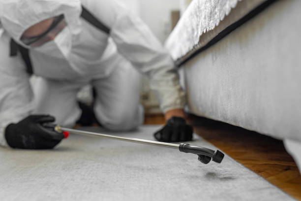 Professional Termite Control technician working in Lancaster, WI