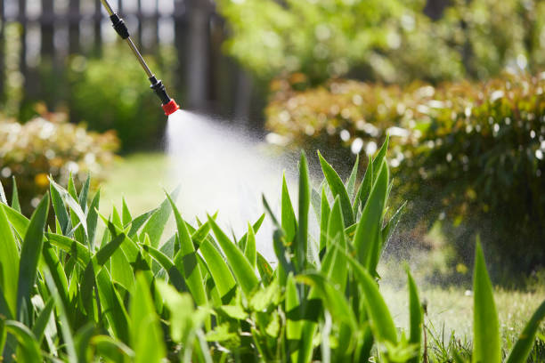 24/7 Emergency Termite Control experts in Lancaster, WI
